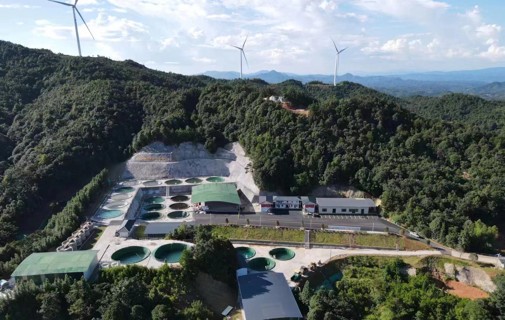 基层动态 | 中国稀土集团有限公司